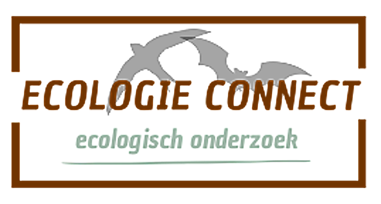 Logo Ecologie Connect